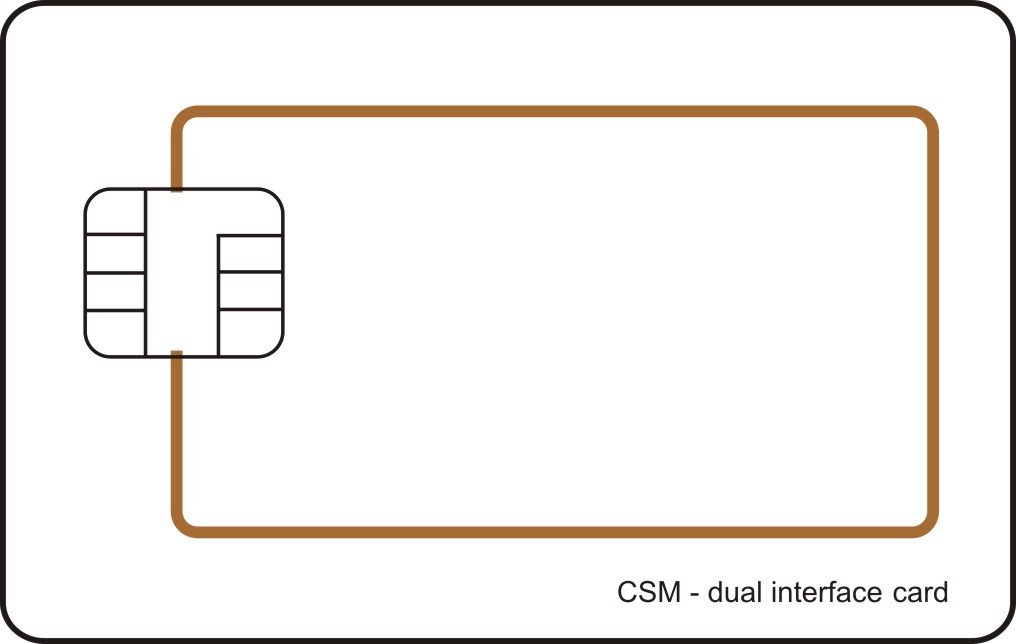 Dual Interface Cpu Card